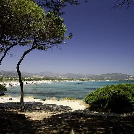 Tanaunella בודוני